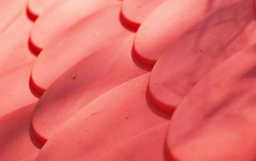 Bellaghy plastic roof costs